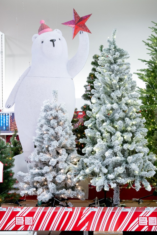 Christmas trees stand on a display with a large white cut-out bear holding a red star.