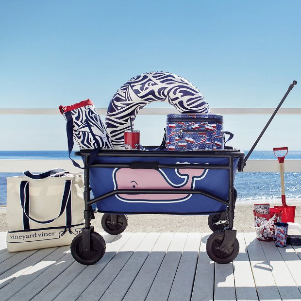 a stroller with a flag on it by the water