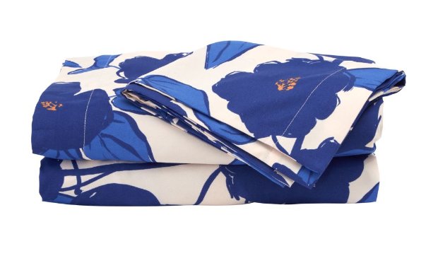 a pair of blue underwear