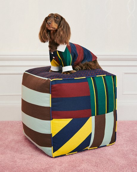 A dog poses sitting on a pouf cushion and wearing apparel from the Rowing Blazers x Target collection.