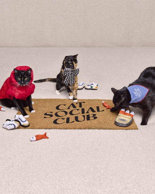 Fur-fluencers – Zelda, Titus, and Brave - pose by a doormat and wear merchandise from The Cuddle Collab collection.