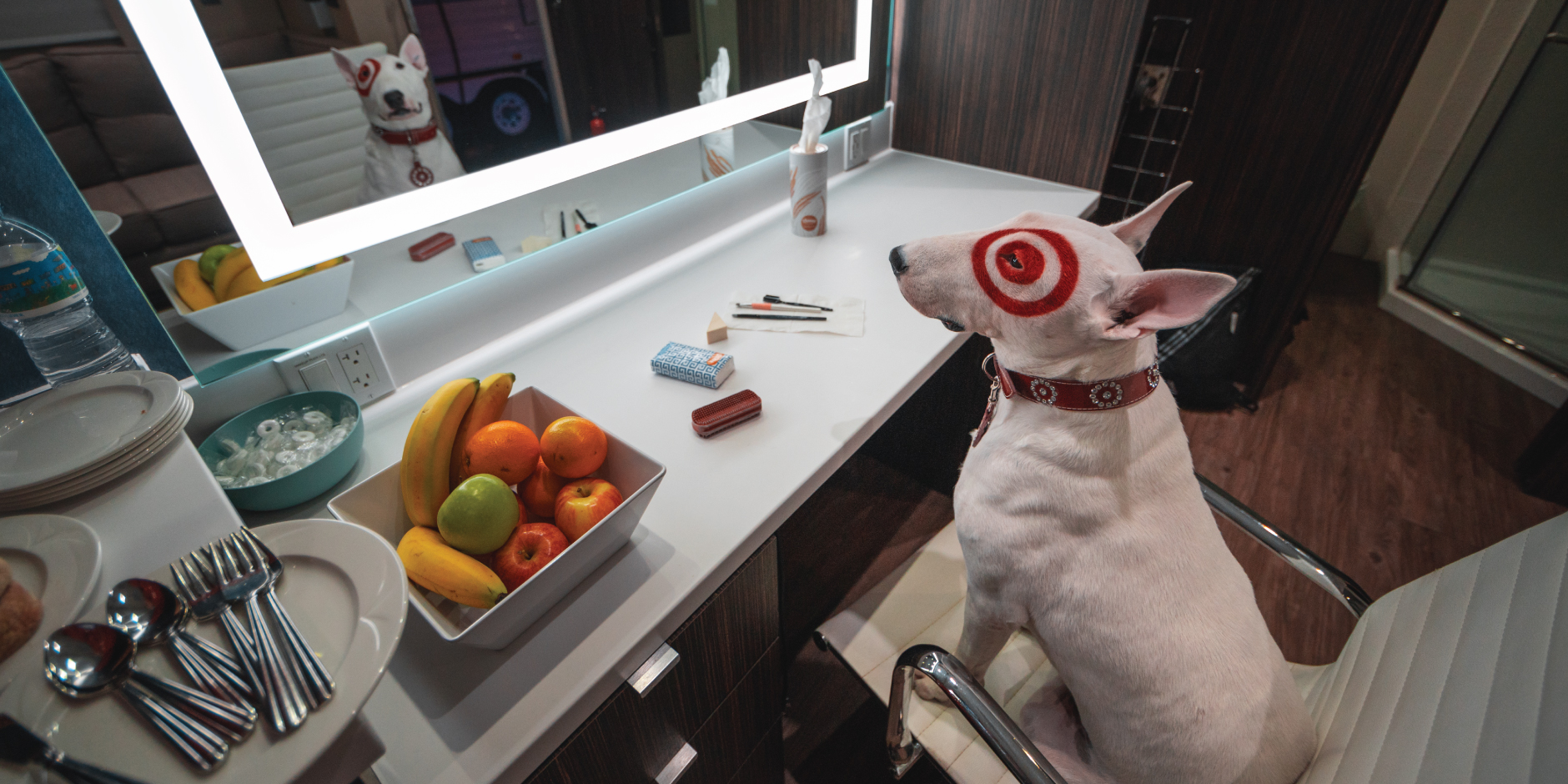Target Bullseye 🎯 dog.. #target #targetshopping #targetlove 
