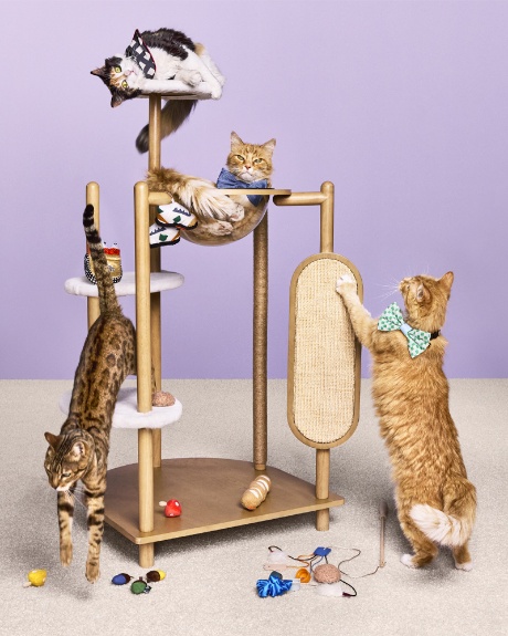 Four cats play on a cat tree from The Cuddle Collab collection.