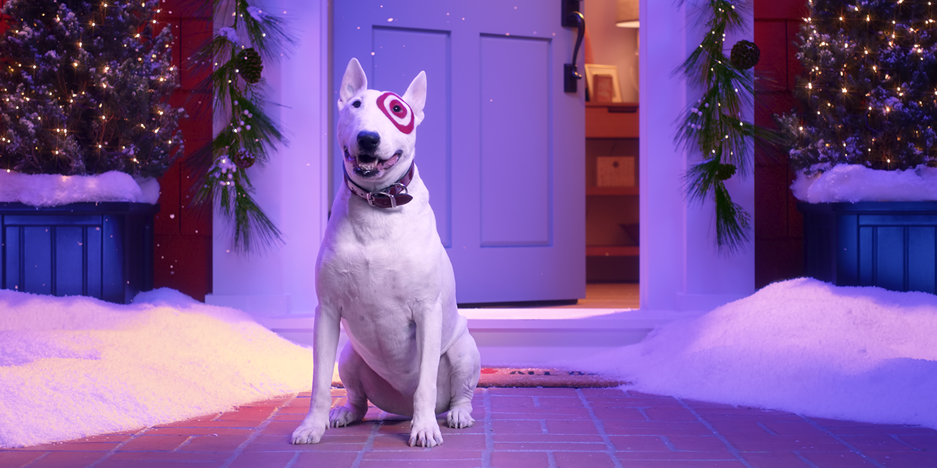 a white dog sitting on a pink carpet in front of a house
