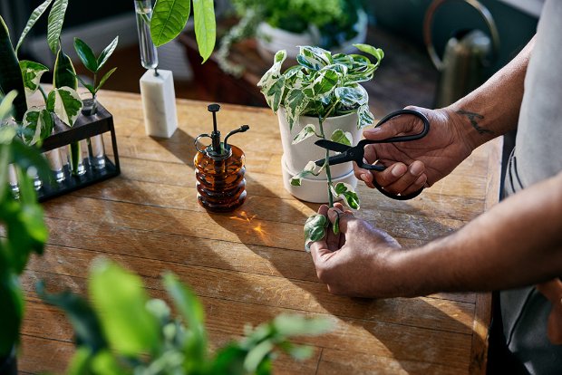 a person holding a teapot