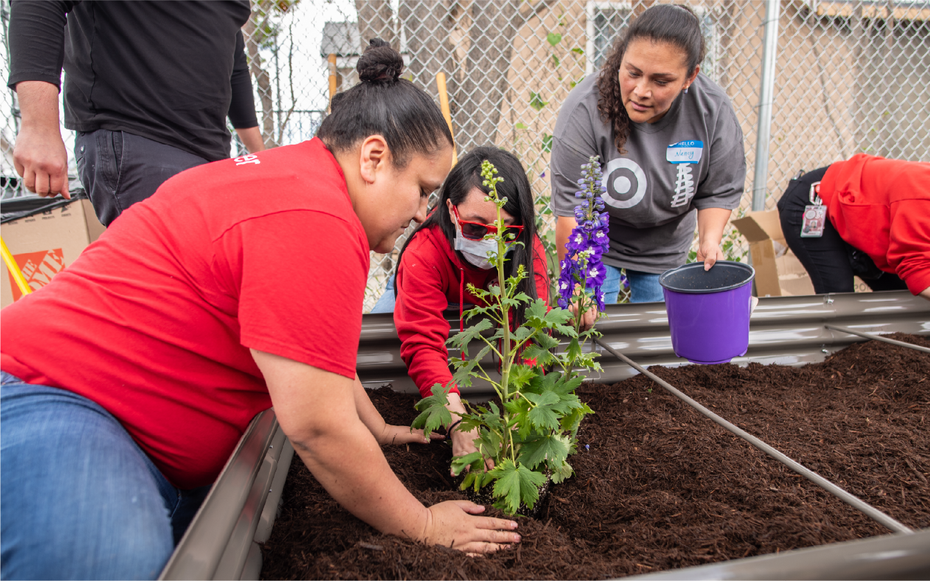 Three team members plant a flower in a raised garden bed.