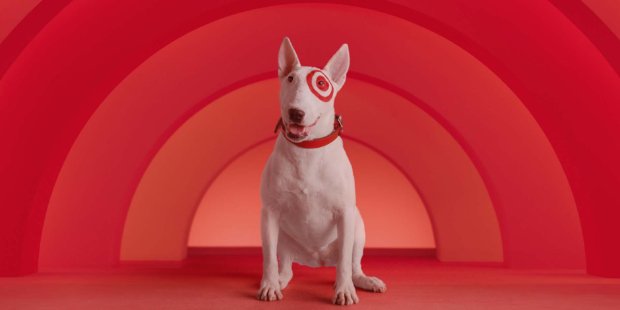 a dog sitting in front of a red wall