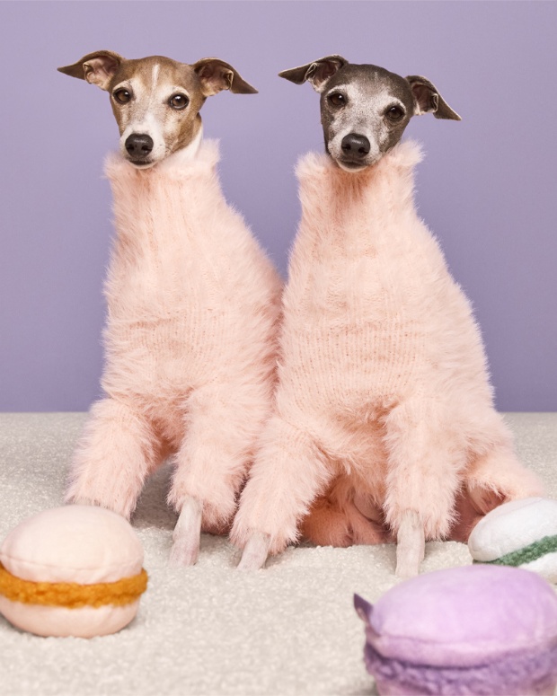 Fur-fluencers, Ghost and Wren, wear pink furry snoods next to macaroon toys from The Cuddle Collab collection.