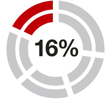 16%
