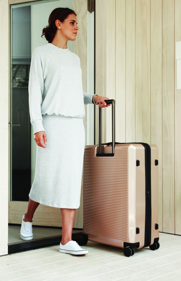 a person with a suitcase