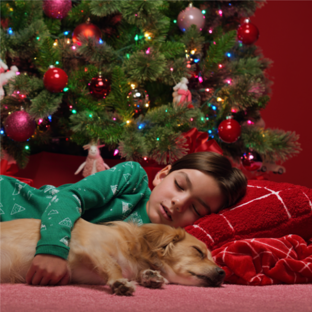 A child sleeping on a couch with a dog in front of a holiday tree.