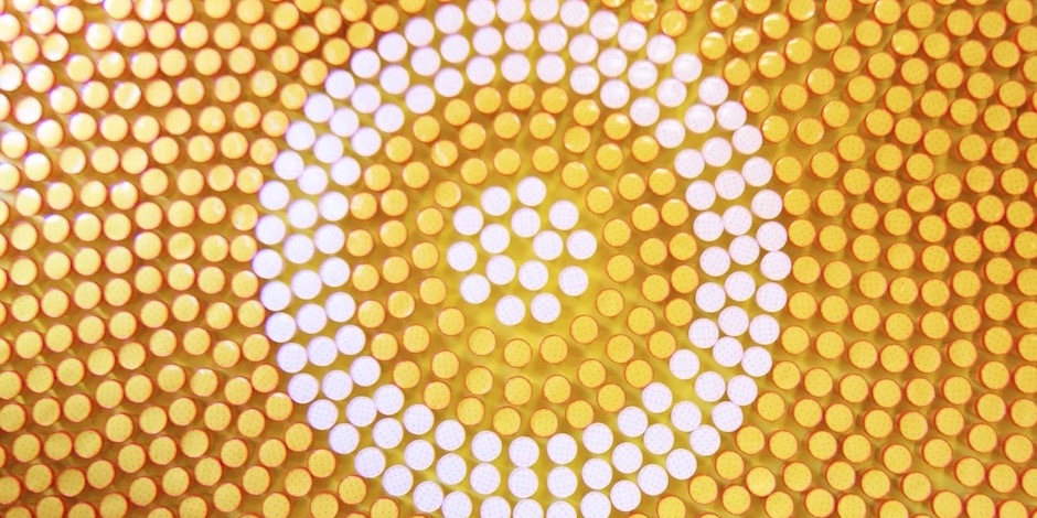 a close up of a pile of orange and white circles