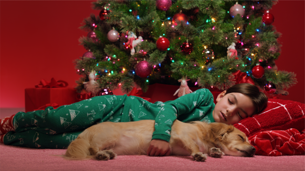A child sleeping on a couch with a dog in front of a holiday tree.