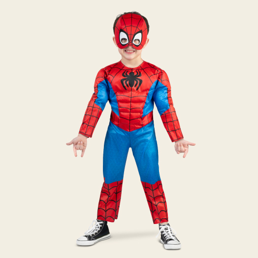 A child wearing a Spider-Man costume.