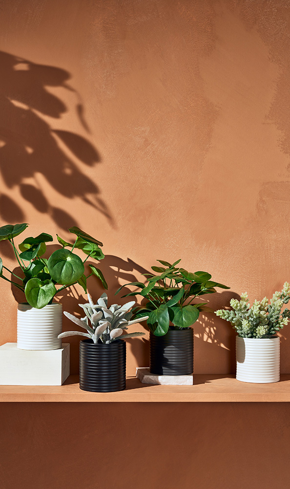 a group of potted plants on a shelf