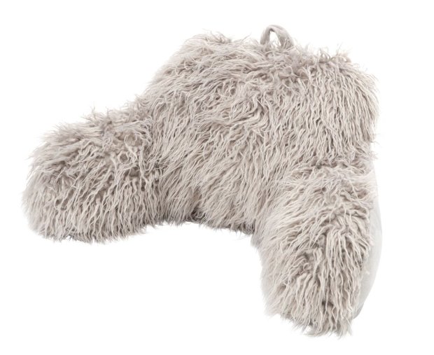 a fluffy dog with a long tail